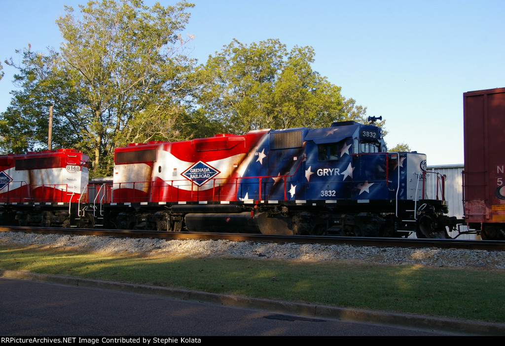 GRYR 3832 PAINTED FOR THE FLAG